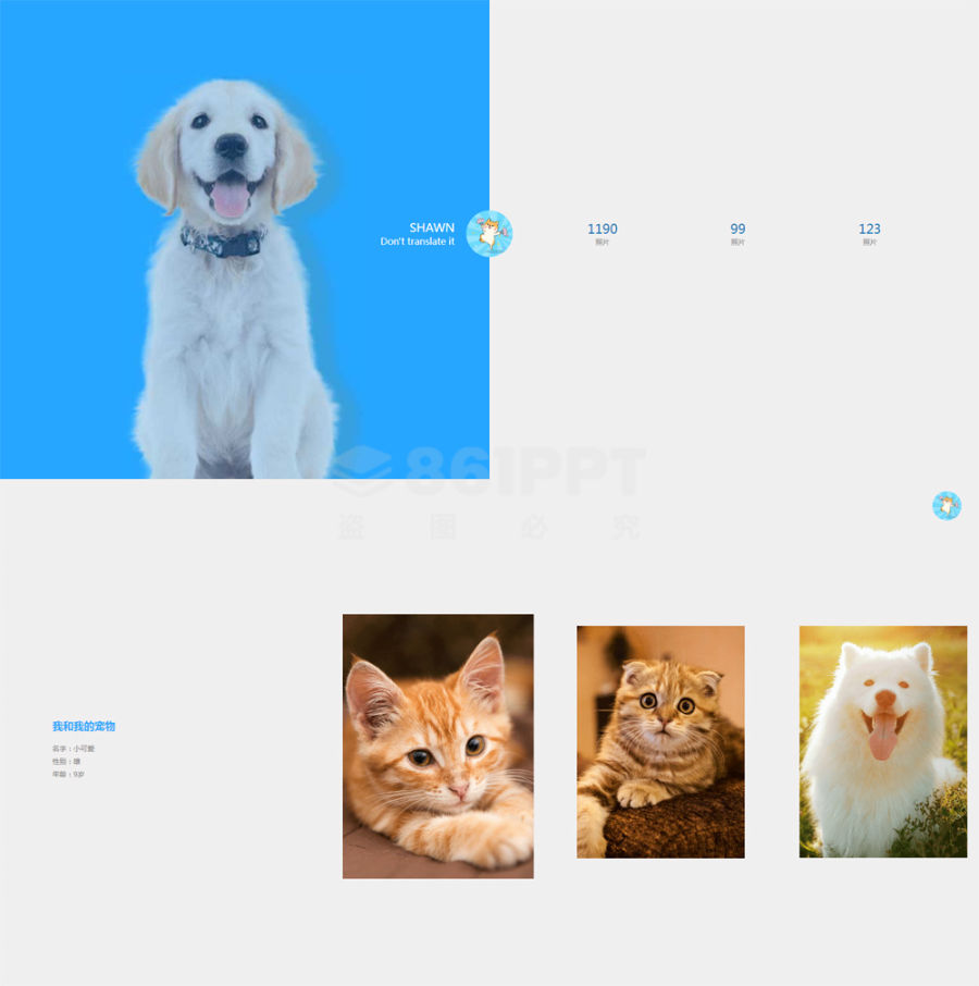 jQuery简单的宠物图片相册页面切换代码