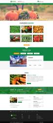 绿色的生鲜蔬菜配送公司简介php网站源码