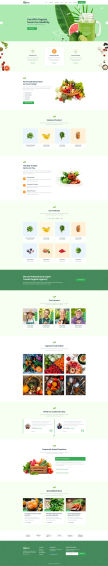 绿色OrganZe有机食品农产品营销型企业网站模板
