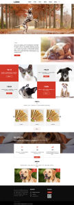响应式高档的宠物食品贸易公司官网pbootcms模板