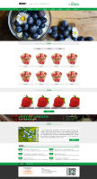 綠色大氣水果蔬菜配送網站源碼PbootCMS模板